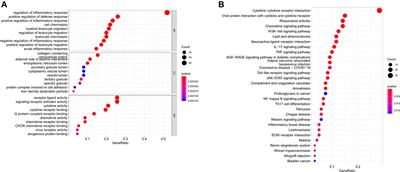 Inflammation-Related Long Non-Coding RNA Signature Predicts the Prognosis of Gastric Carcinoma